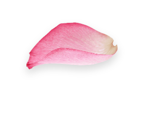 flower decoration